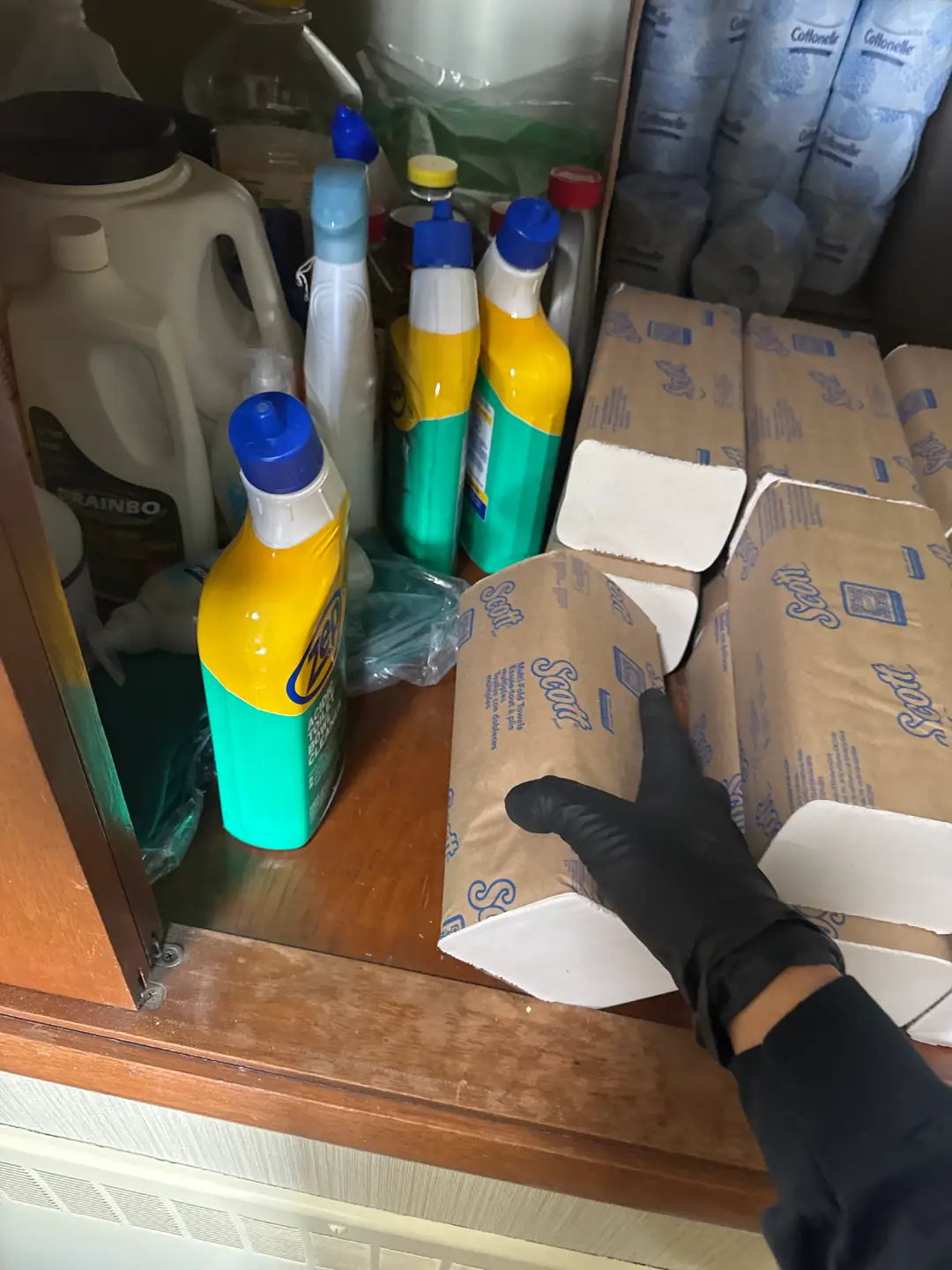 Move-In Cleaning